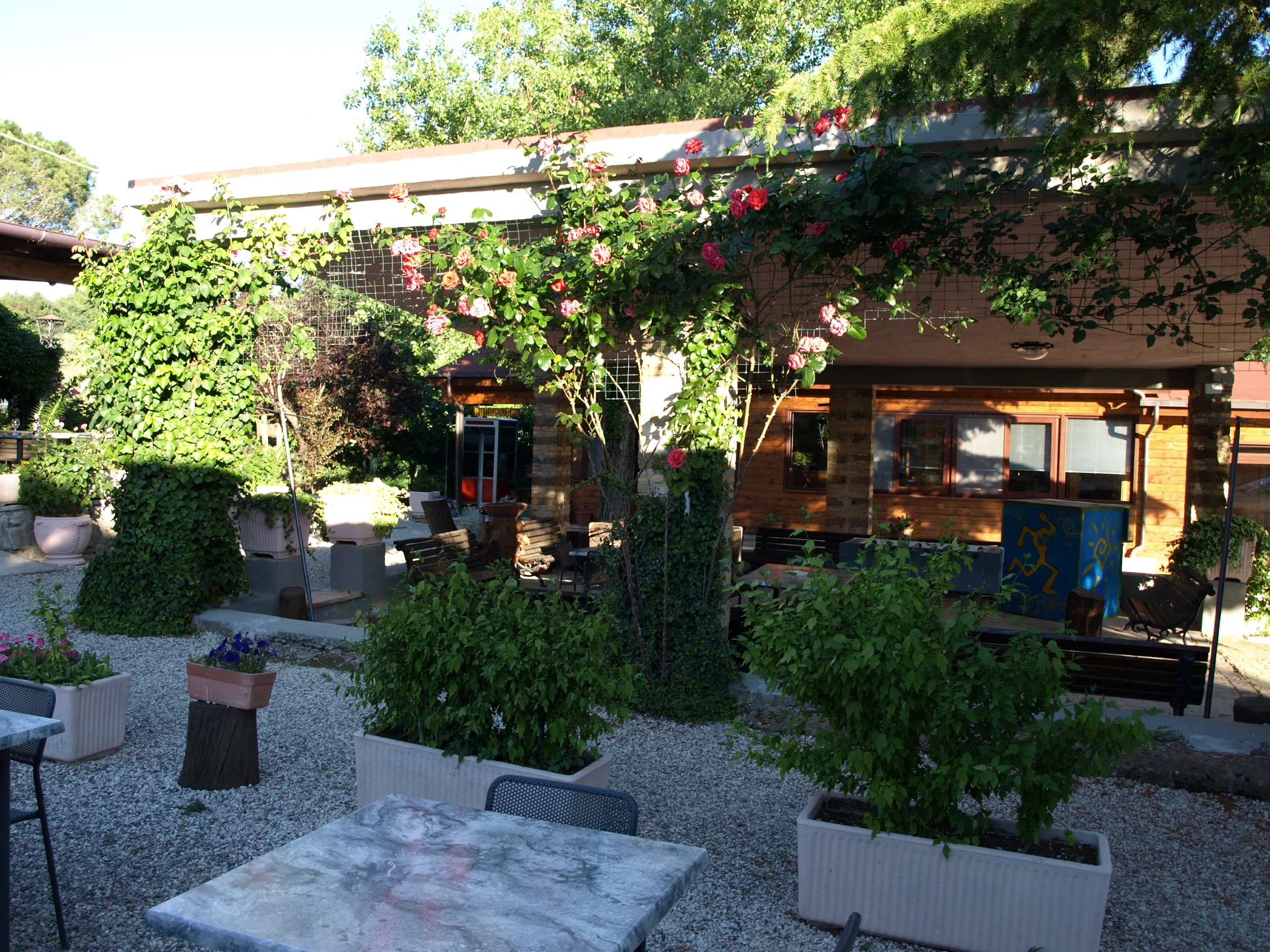 Terras onder een pergola met roze rozen