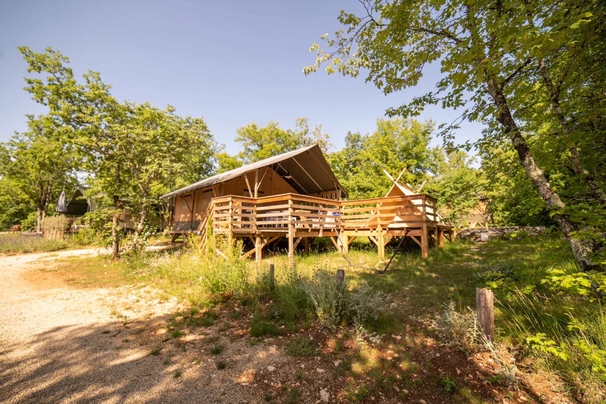 Safari Lodge + Teeny Lodge 2-6P foto 4