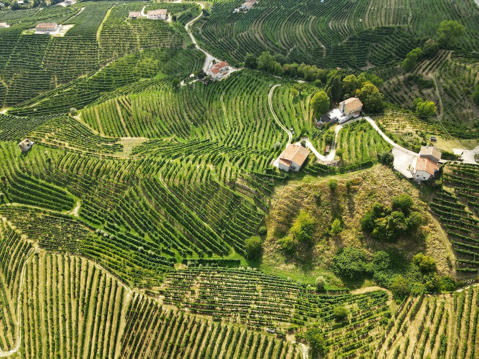 Dorf inmitten der Weinberge in Venetien