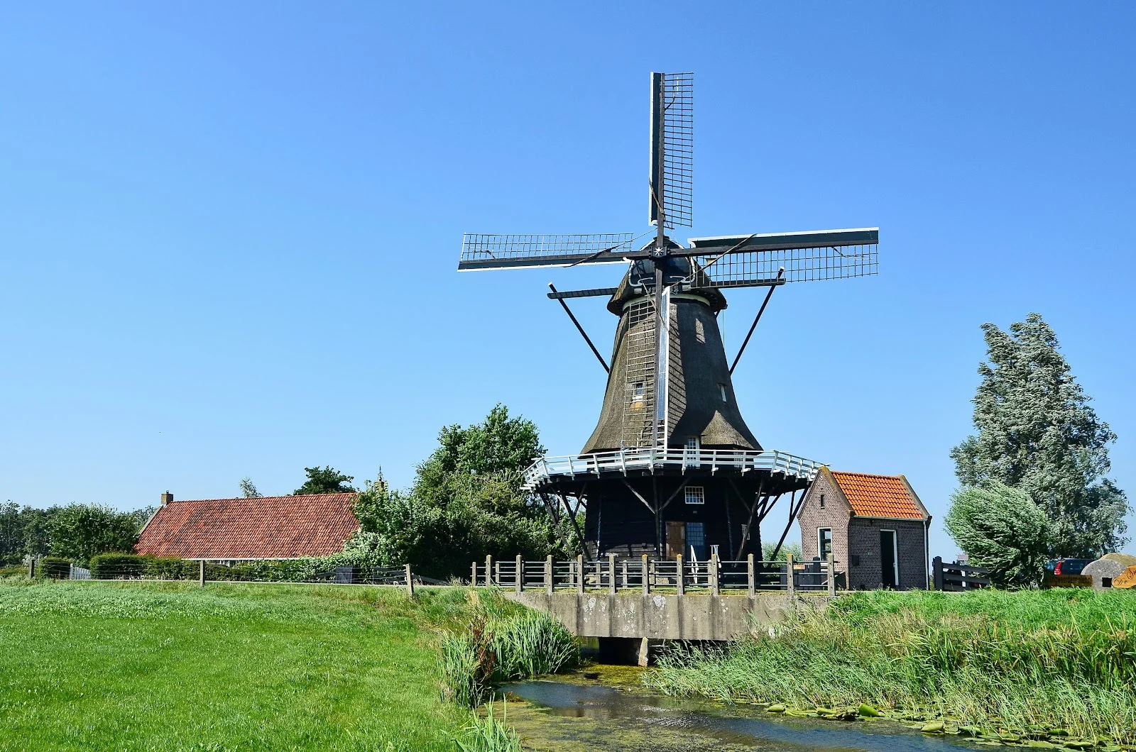 Il paesaggio dei pascoli della Frisia