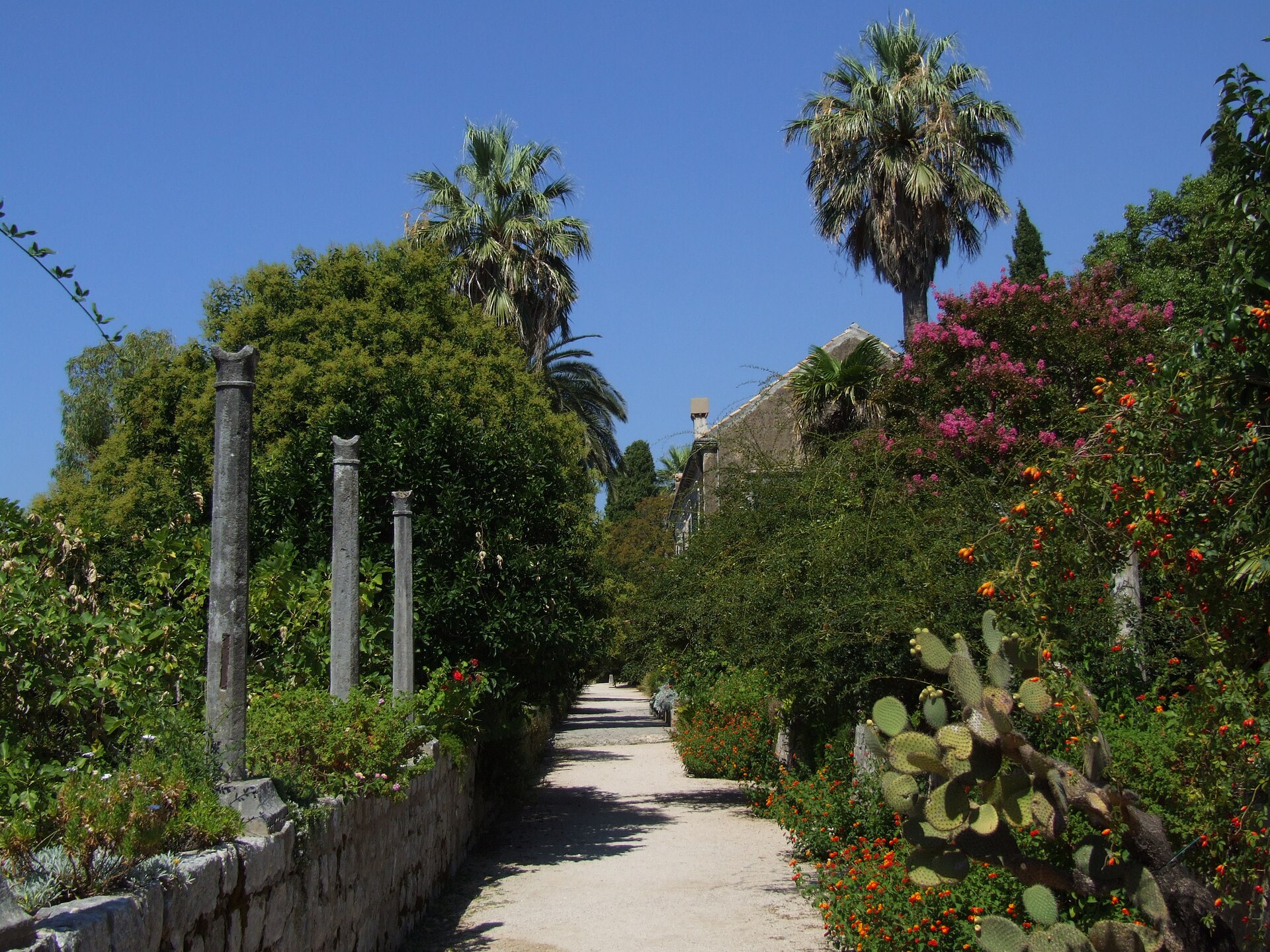 Het Arboretum van Trsteno bij Dubrovnik